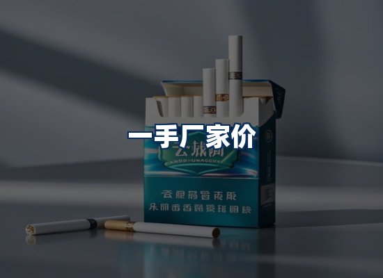 专业团队办公环境